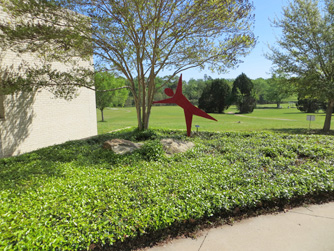 Art Outside Up