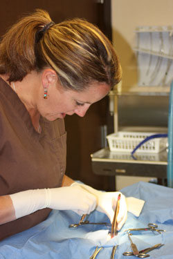 Panel: Kris Keeth Spaying a Dog